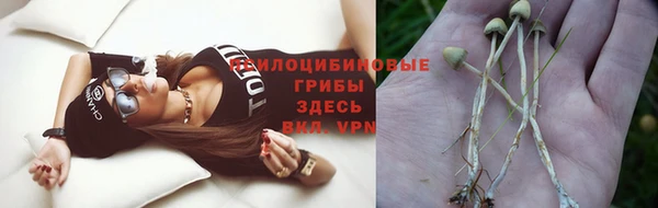 ГАЛЛЮЦИНОГЕННЫЕ ГРИБЫ Киров