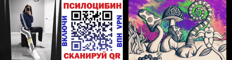 Псилоцибиновые грибы Magic Shrooms цена наркотик Бакал